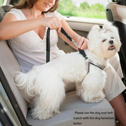 Bark & Buckle Ride Safe Dog Seat Belt