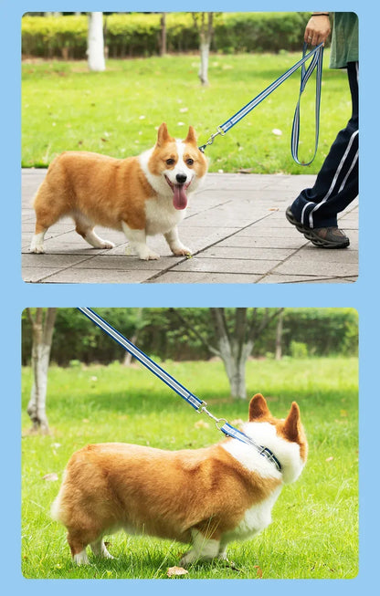 PrideStride Leash & Collar Set