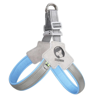 PawVoyage Mesh Harness