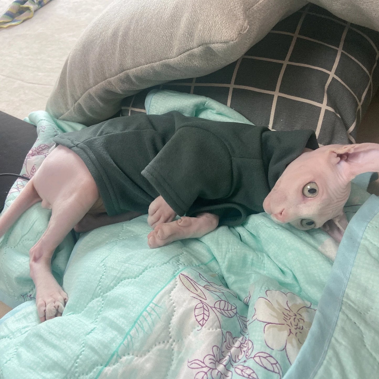 CozyPaw Cotton Snuggie