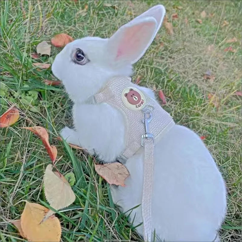 HopAlong Rabbit Harness and Leash