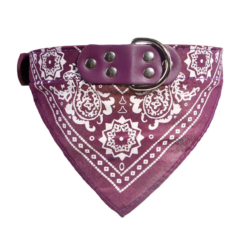 Wag & Whisker Scarf Collar
