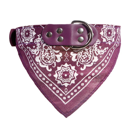 Wag & Whisker Scarf Collar