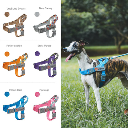 Stridezilla Harness