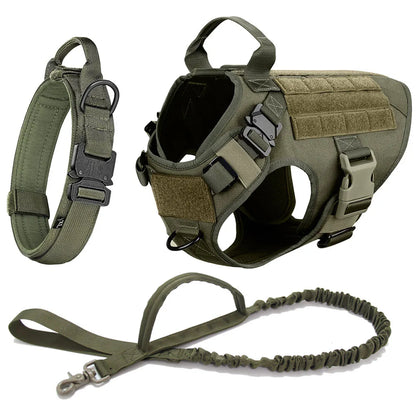 K9 Command Pro Set