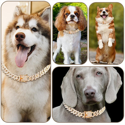Bark & Bling™ Cuban Luxe Collar