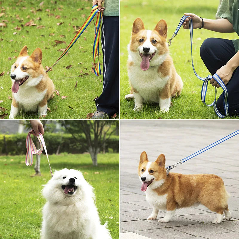 PrideStride Leash & Collar Set