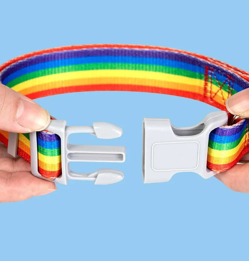 PrideStride Leash & Collar Set