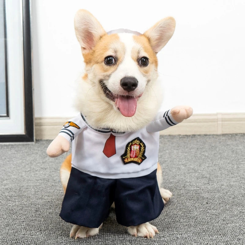 PetStand Comedy Suit