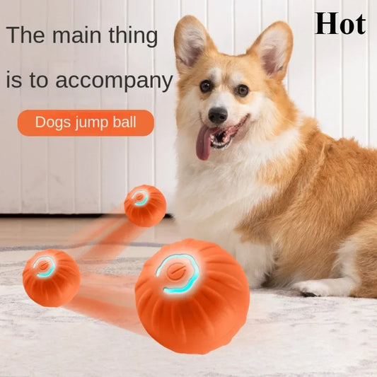 BarkBolt – The Smart Rolling Wonder Ball