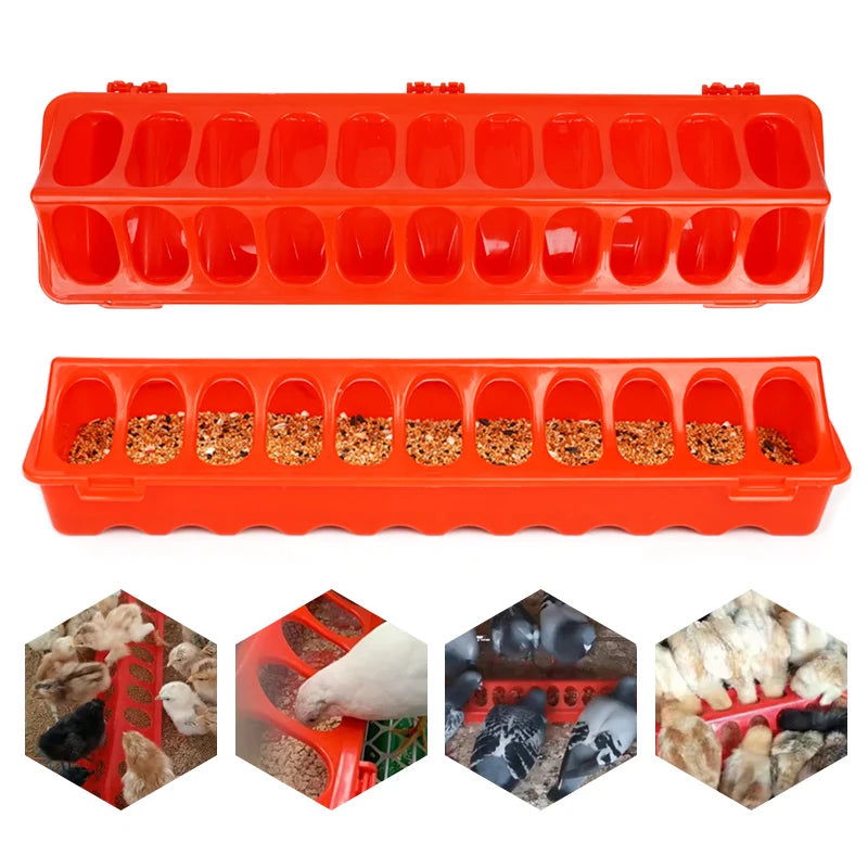 Peck & Feast Poultry Feeder