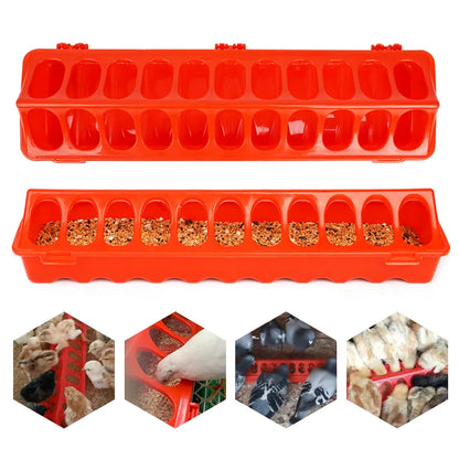 Peck & Feast Poultry Feeder