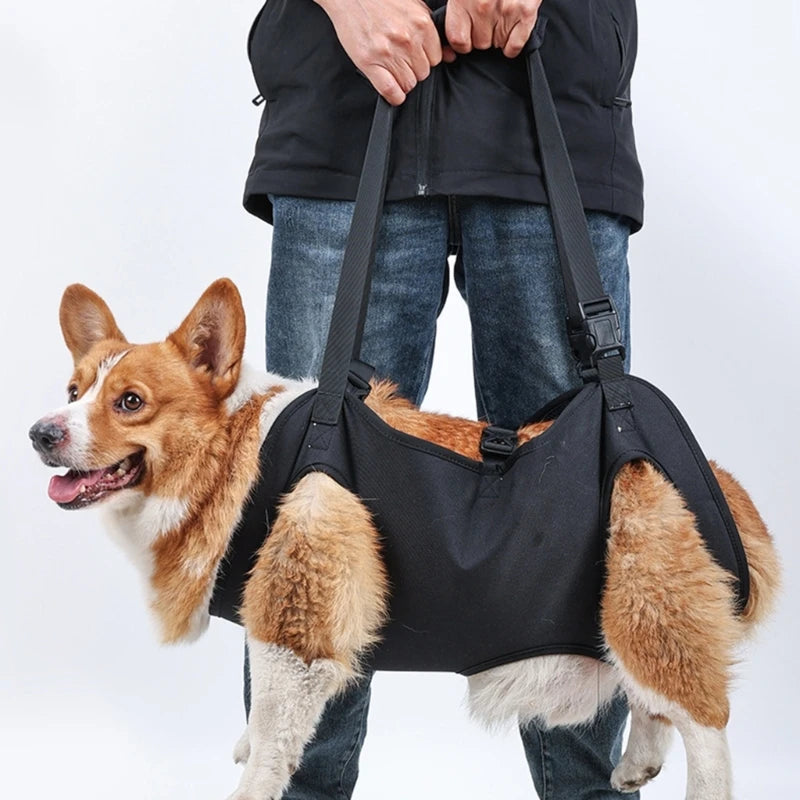 PawPal Lift Harness