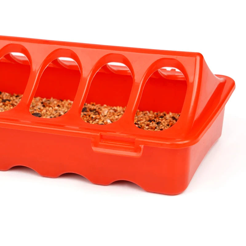 Peck & Feast Poultry Feeder