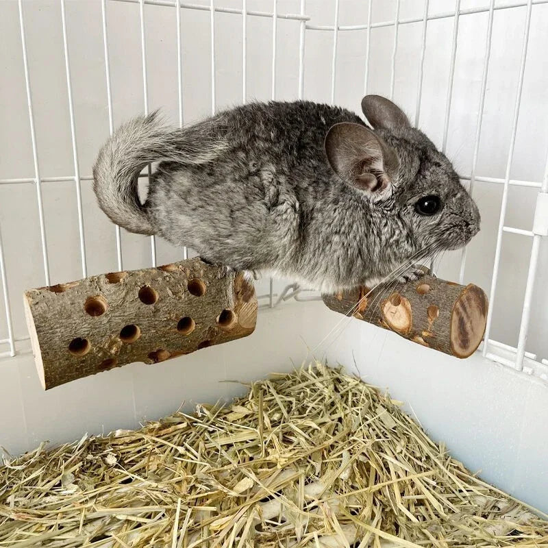 TwiggyTreat Stick