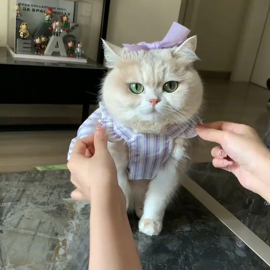 Purrlina Twilight Tulle Dress