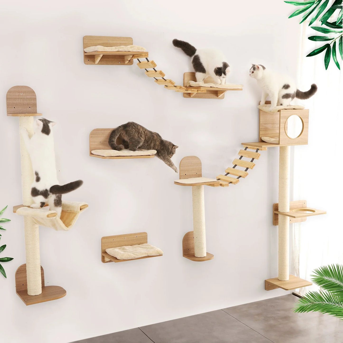 Climb & Scratch Skyway