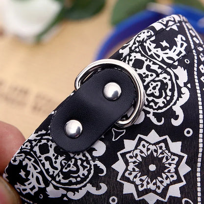 Wag & Whisker Scarf Collar