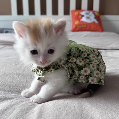 BlossomPaws Summer Dress