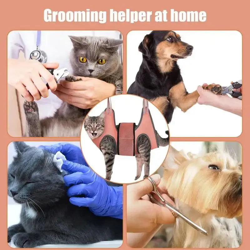 PawSpa Hangout