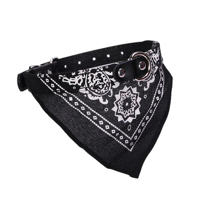 Wag & Whisker Scarf Collar