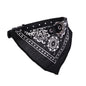 Wag & Whisker Scarf Collar