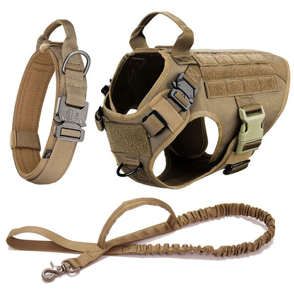 K9 Command Pro Set