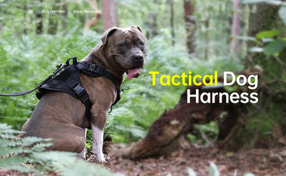 K9 Commando Tactical Dog Harness & Leash Set