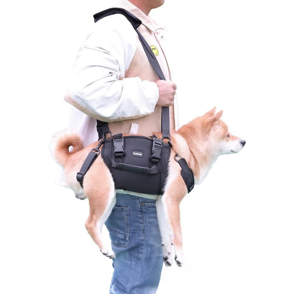 PawLift Support Sling