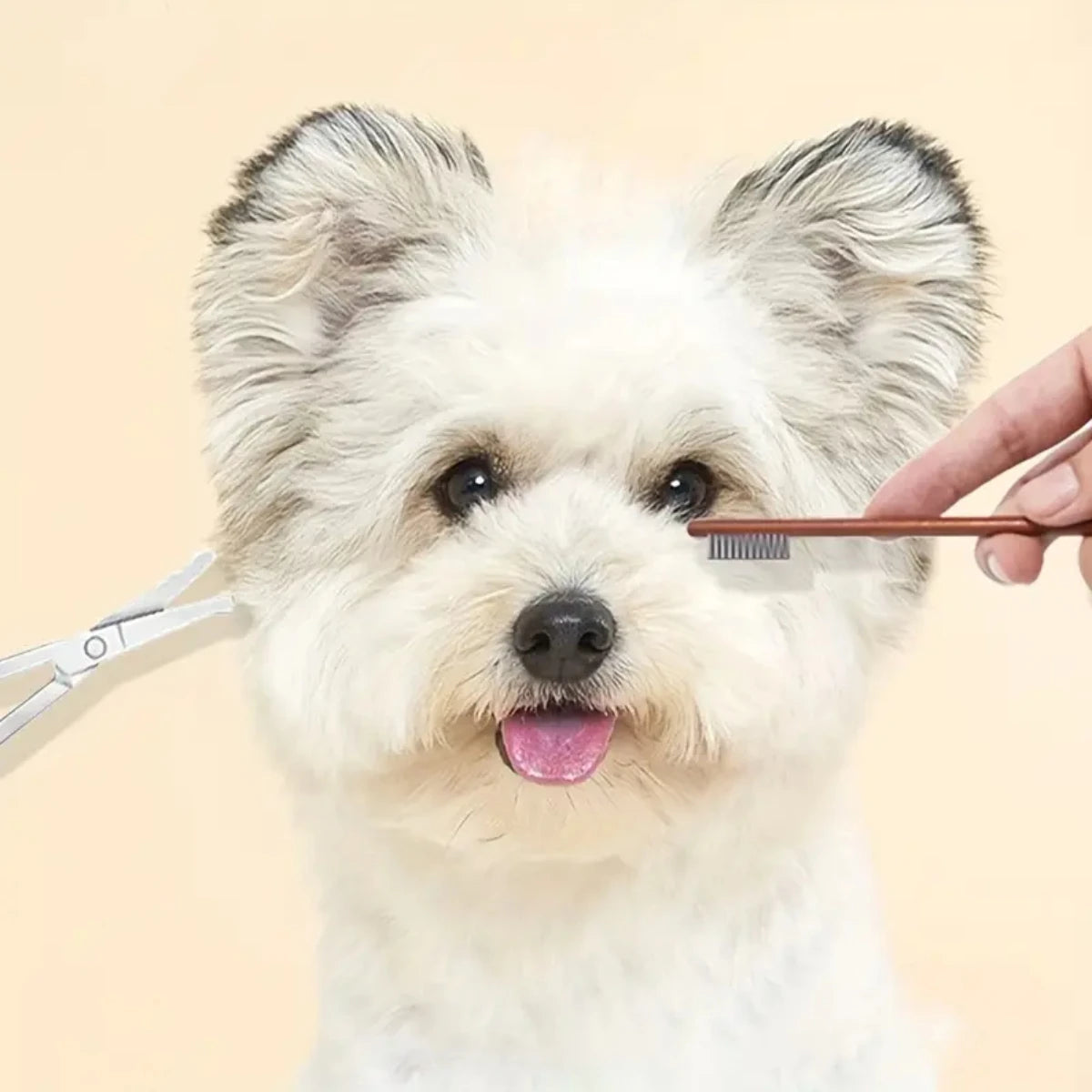 BrightEyes Buddy Comb and/or Scissors