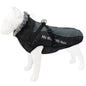 StormPaw Luxe Coat