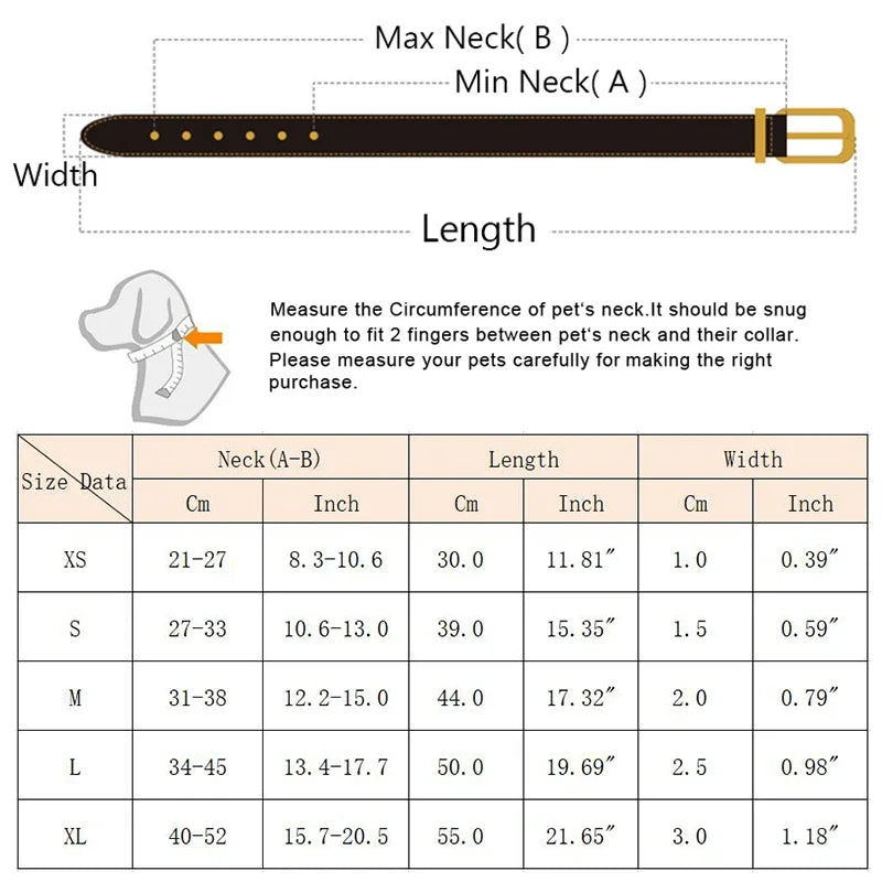 Wag & Whisker Scarf Collar