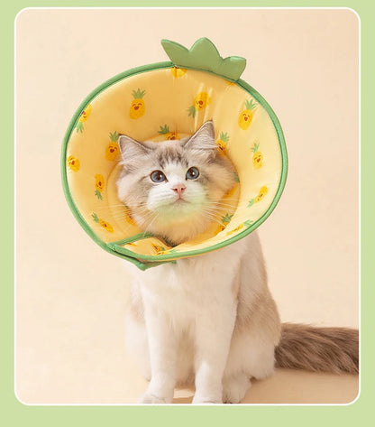 SnuggleShield Collar