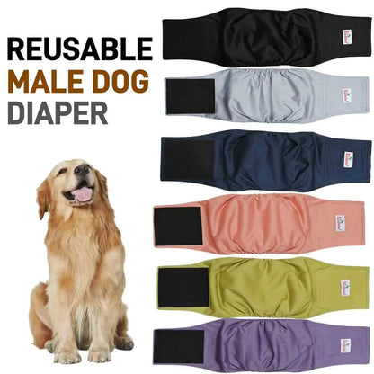 PeeTector Belly Band