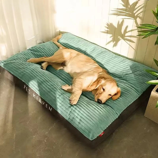 Plush Dog Bed