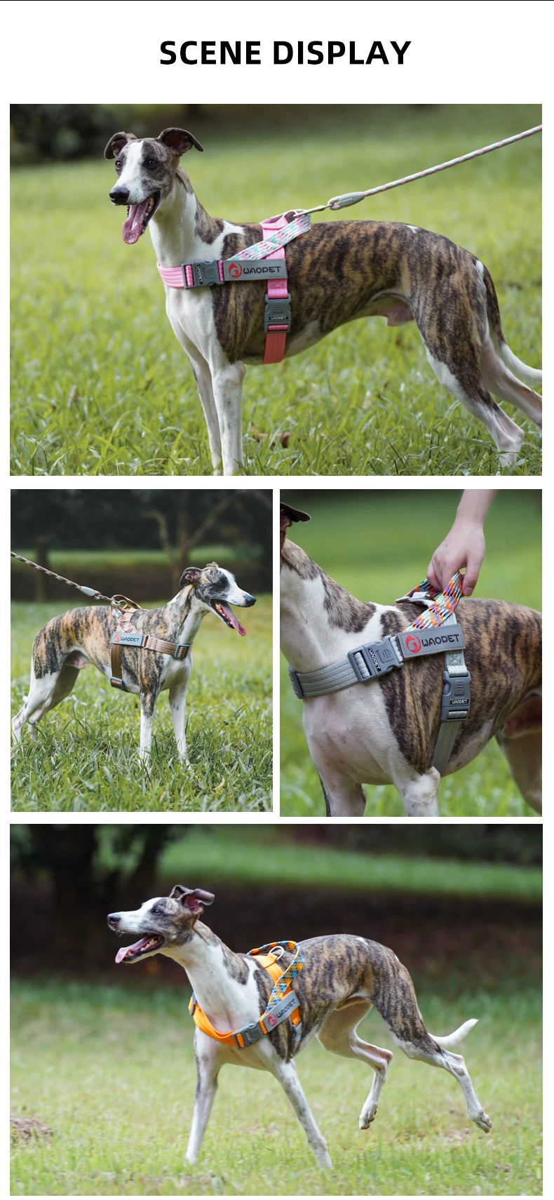 Stridezilla Harness