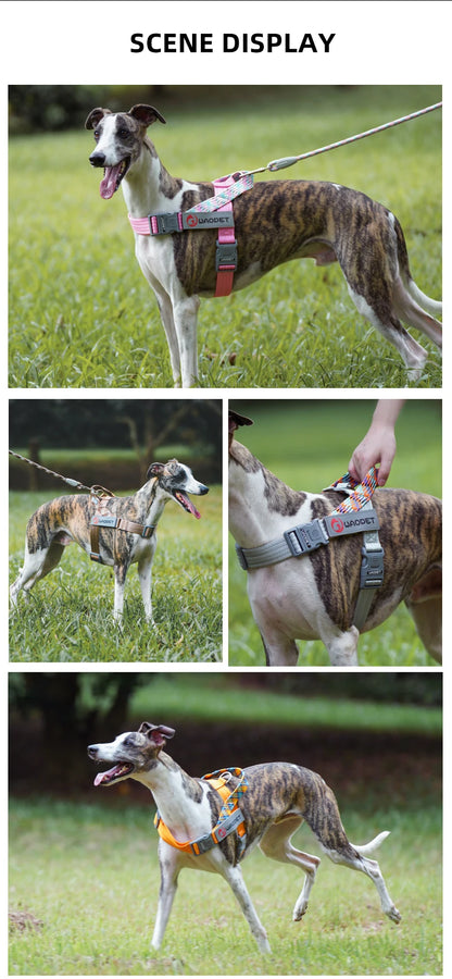 Stridezilla Harness