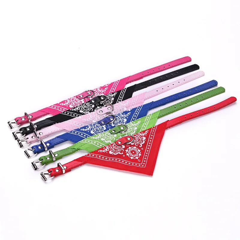 Wag & Whisker Scarf Collar