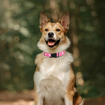 FloraFetch Collar