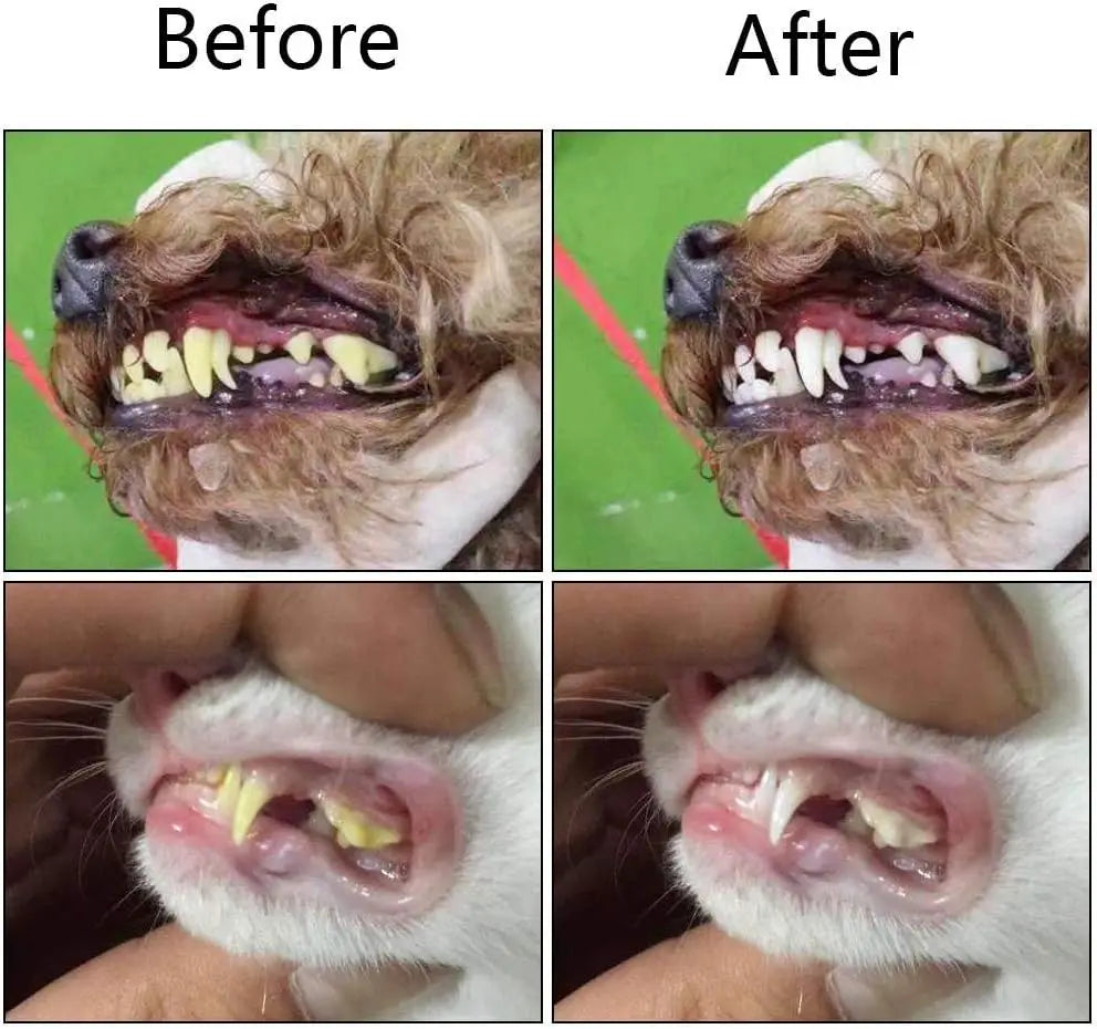 ToofeeTips