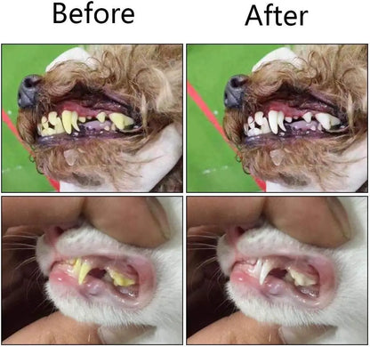 ToofeeTips