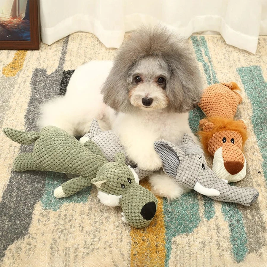 Wild Barks Buddies