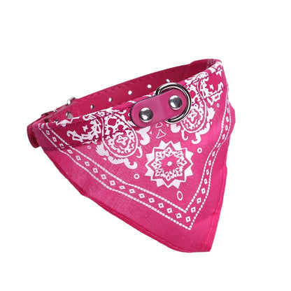 Wag & Whisker Scarf Collar