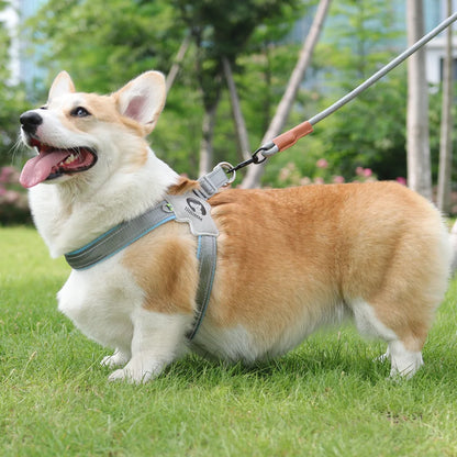 PawVoyage Mesh Harness