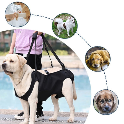 PawPal Lift Harness