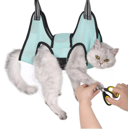 PawSpa Hangout