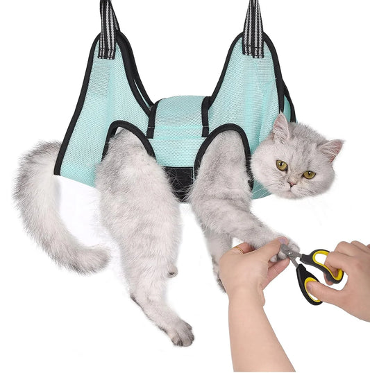 PawSpa Hangout