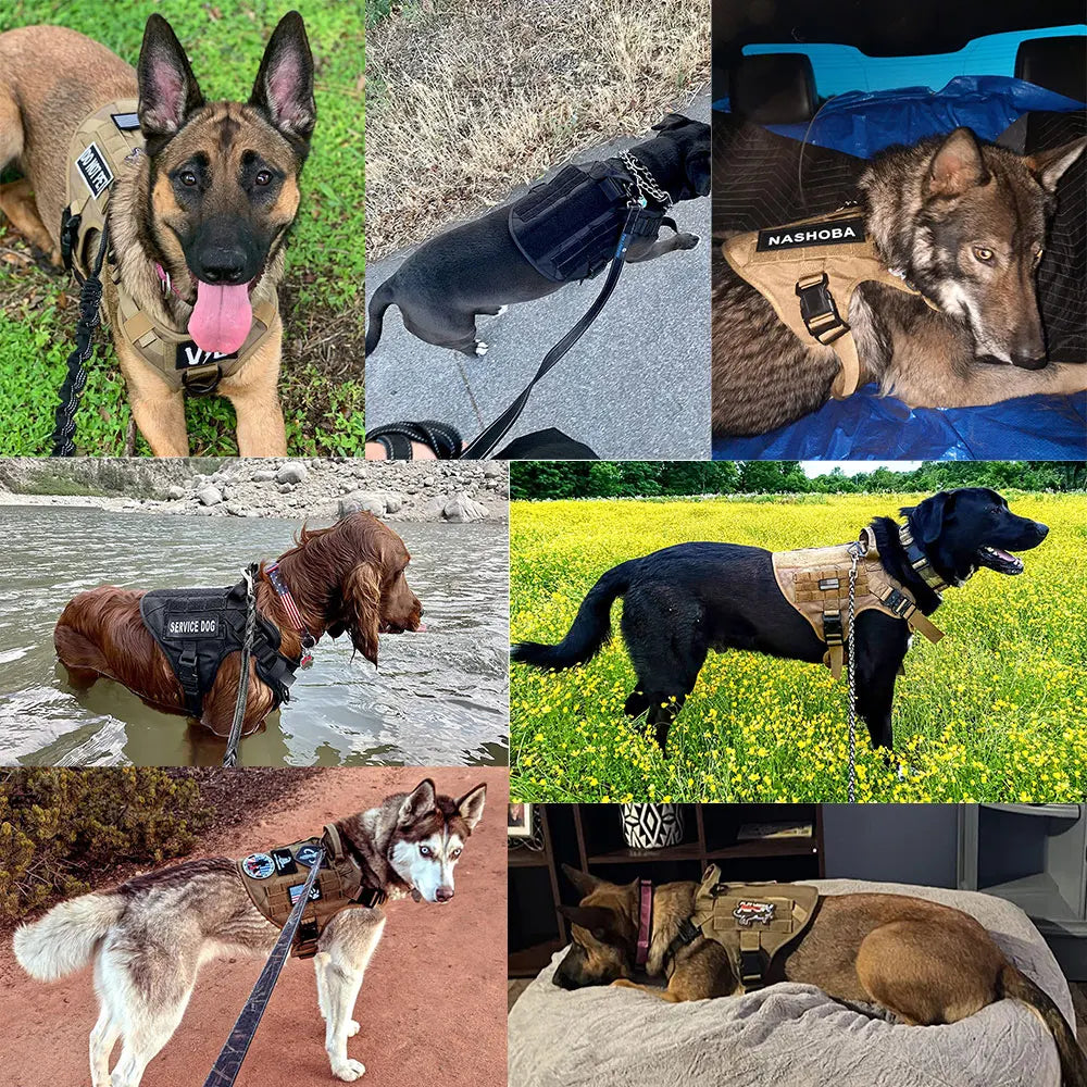 K9 Command Pro Set