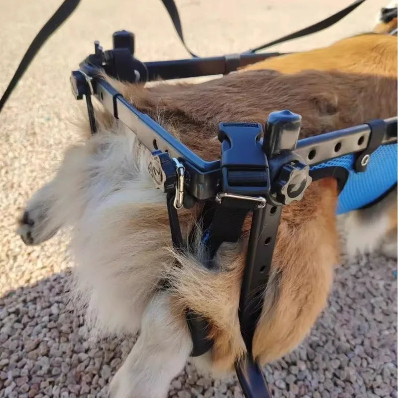 Waggin' Wheels Dog Rehabilitation Walker