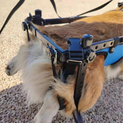 Waggin' Wheels Dog Rehabilitation Walker